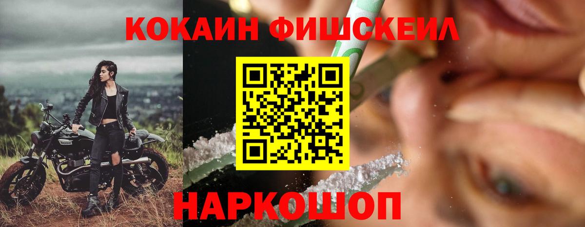 Кокаин Fish Scale  Вход с VPN  Кузнецк 